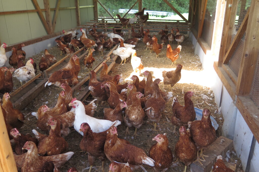 田中崇士さん（自然恵みファームズ）