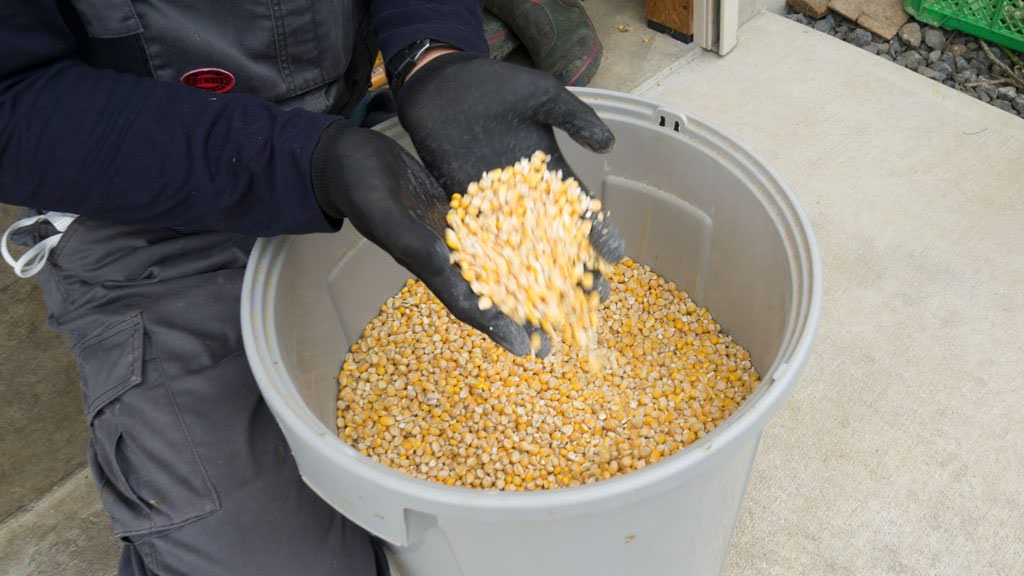 田中崇士さん（自然恵みファームズ）