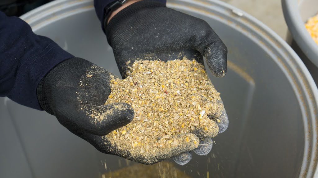 田中崇士さん（自然恵みファームズ）