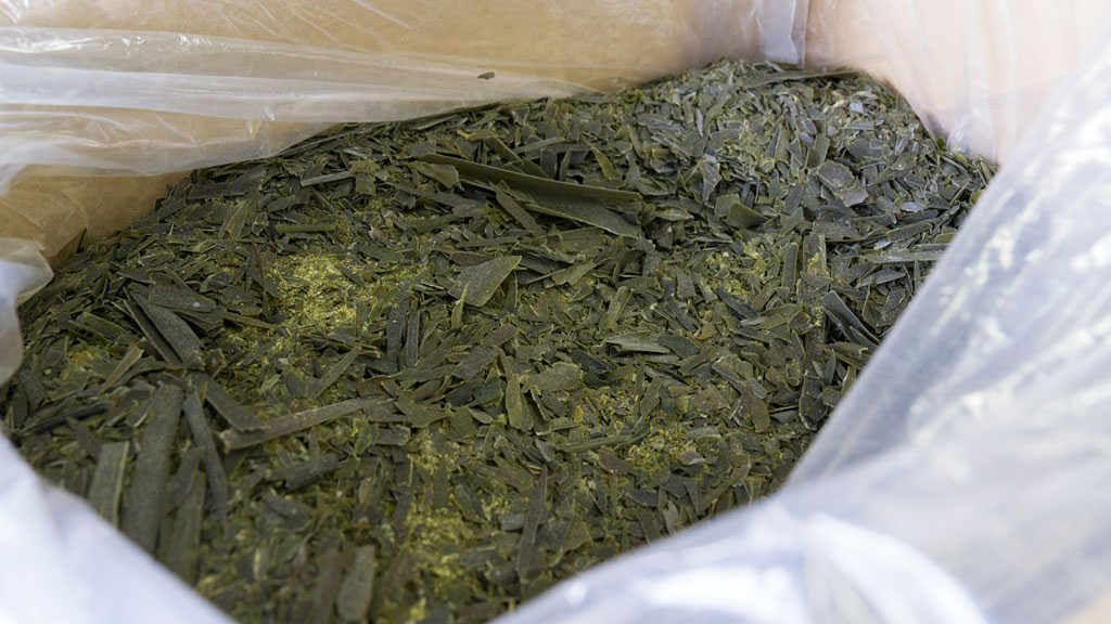 田中崇士さん（自然恵みファームズ）