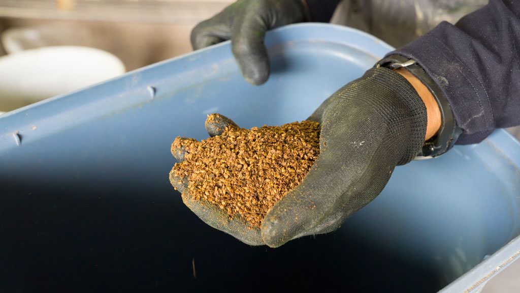 田中崇士さん（自然恵みファームズ）